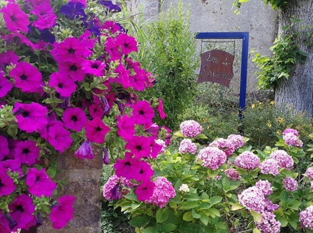 Bed and Breakfast Les Quatre Saisons Moitron-sur-Sarthe Exteriér fotografie